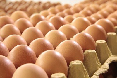 辽宁鸡蛋检测价格,鸡蛋检测机构,鸡蛋检测项目,鸡蛋常规检测